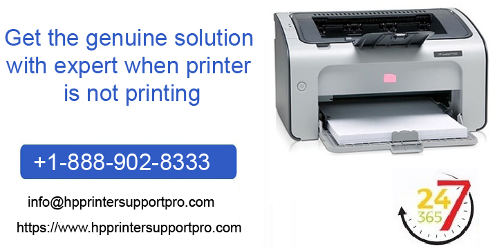 Get the genuine solution with expert when printer is not printing