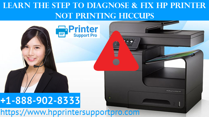 Learn the step to Diagnose & Fix HP Printer Not printing hiccups
