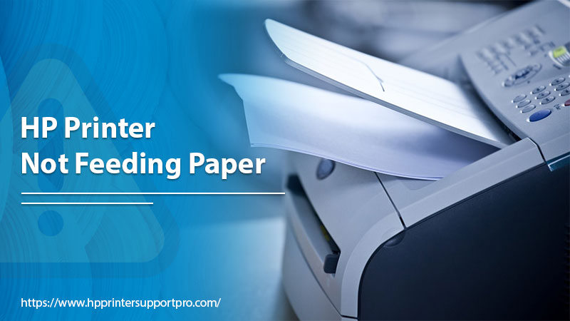 HP printer not feeding paper